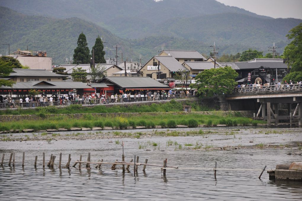 Album - 10-Arashiyama