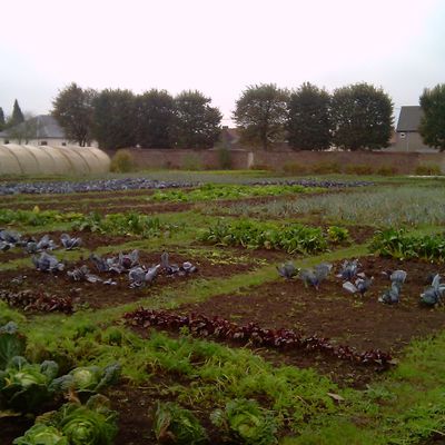 Les Jardiniers de l'Espoir