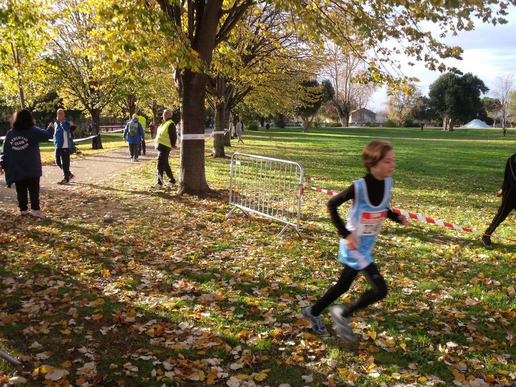 Une Randonnée Pédestre de 7.7km, des courses enfants dans le parc du Gd Séminaire et un Mini Trail de 9.2km qui domine Marseille et la réserve du Vallon Dol... 
Le tout dans le cadre du TELETHON 2011.