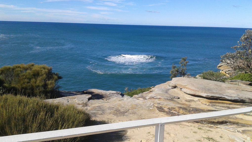 Puis c'est parti pour une ballade sympa de Coogee Beach à Bondi Beach