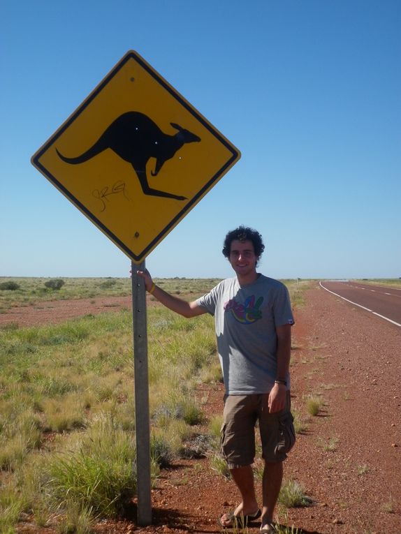 Album - Roadtrip-zum-ULURU-via-Great-Ocean-Road