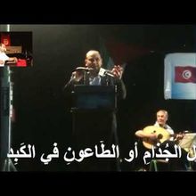 نقرٌ على بيضةِ أفعى ...شعر : عبد اللّطيف علوي 