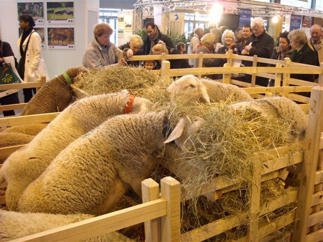 Album - Salon-International-de-l-Agriculture-2010