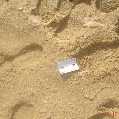 Pierre-louis Berthoin