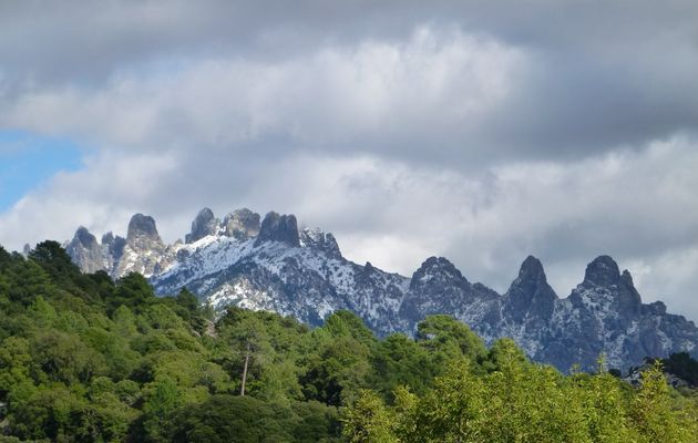 La corse sous la neige