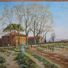 Cuers (Var) - Le vignoble Château la Moutête
