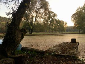 Petit jogging avec les biches à l'aube, dans le parc de notre chambre d'hôte