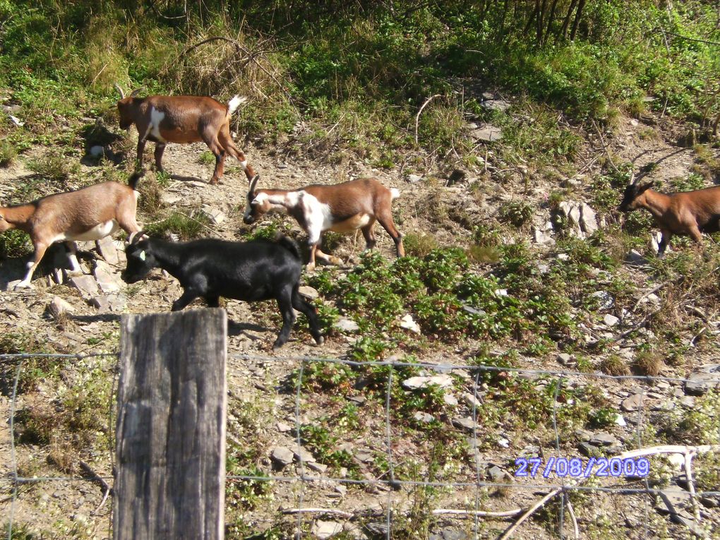 le groupe de formation