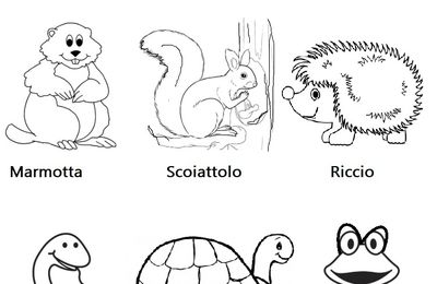 Maschera Di Carnevale Da Scaricare E Colorare Disegno Per Bambini Oggi Mamma News