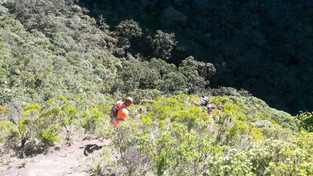 Sentier Bayonne, Entre Deux, Ile de la Réunion