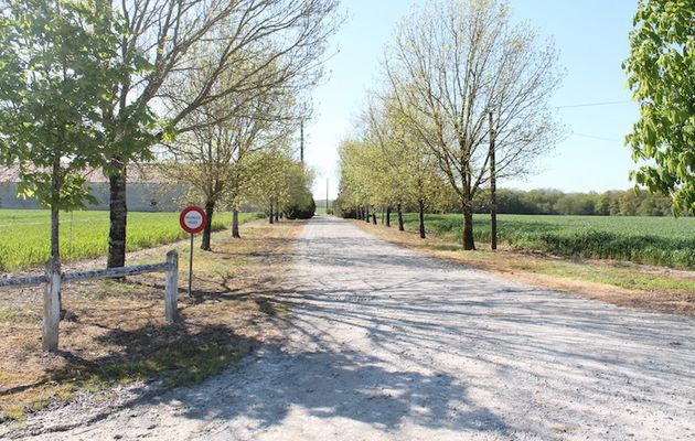 Des Chinois achètent en France des centaines d’hectares de terres agricoles 16 juin 2016 / Nathalie Picard (Reporterre) 