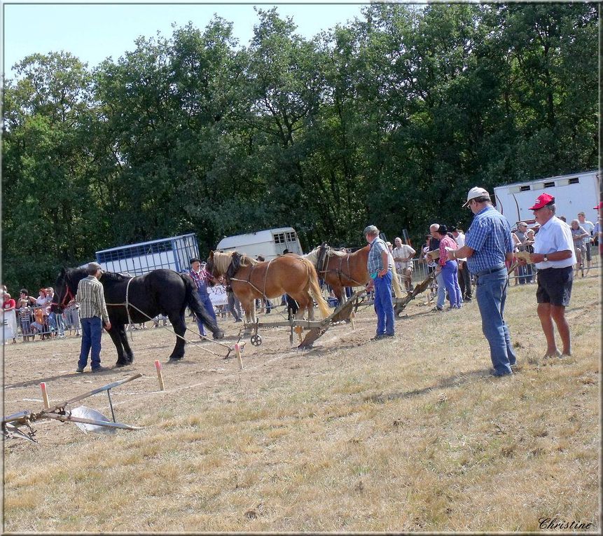 Album - CONCOURS-LABOUR-PEAUGRES-2010