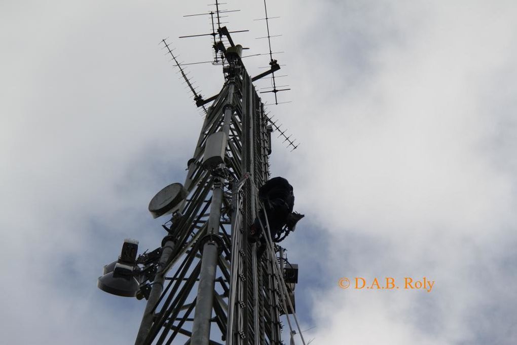 Album - Travaux-sur-le-reseau-GSM-au-bois-de-Roly