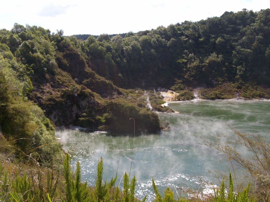 Waimangu, entre Rotorua et Taupo, vallée géothermale.