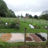 rdv jardin - federation de l'environnement de haute saone (HSNE)