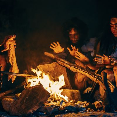 Y-avait-t-il des Gènes d'homo Sapiens chez Néandertal ? (Chromosome Y)