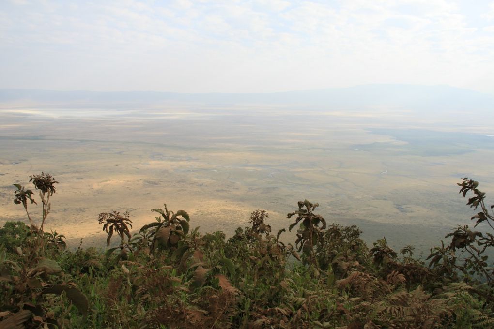 Album - 7.2 Ngorongoro
