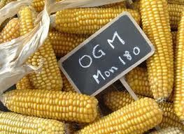 Les OGM et la science.