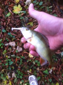 24/10/2014 session street fishing Châlons en champagne