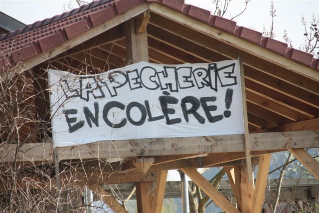 au printemps (de Jules Ferry) les banderoles fleurissent à St Dié
si vous avez d'autres lieux, prnez les en photos nous les publierons
merci