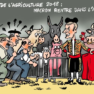 13 heures dans l’arène !