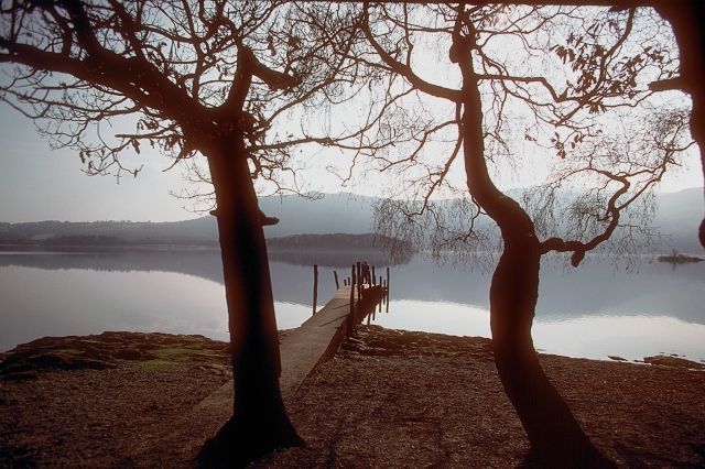 Album - merveillese-nature &quot;ANGLETERRE&quot;