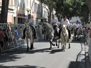 Cavaillon, la féria du melon  (1/2)