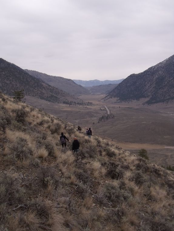 2 semaines passées dans une ferme à Cawston, dans le sud de la colombie britannique. Ce village est située dans la vallée de l'Okanagan, près de Osoyoos où débute le désert canadien. Ce désert canadien s’étend de la frontière américaine