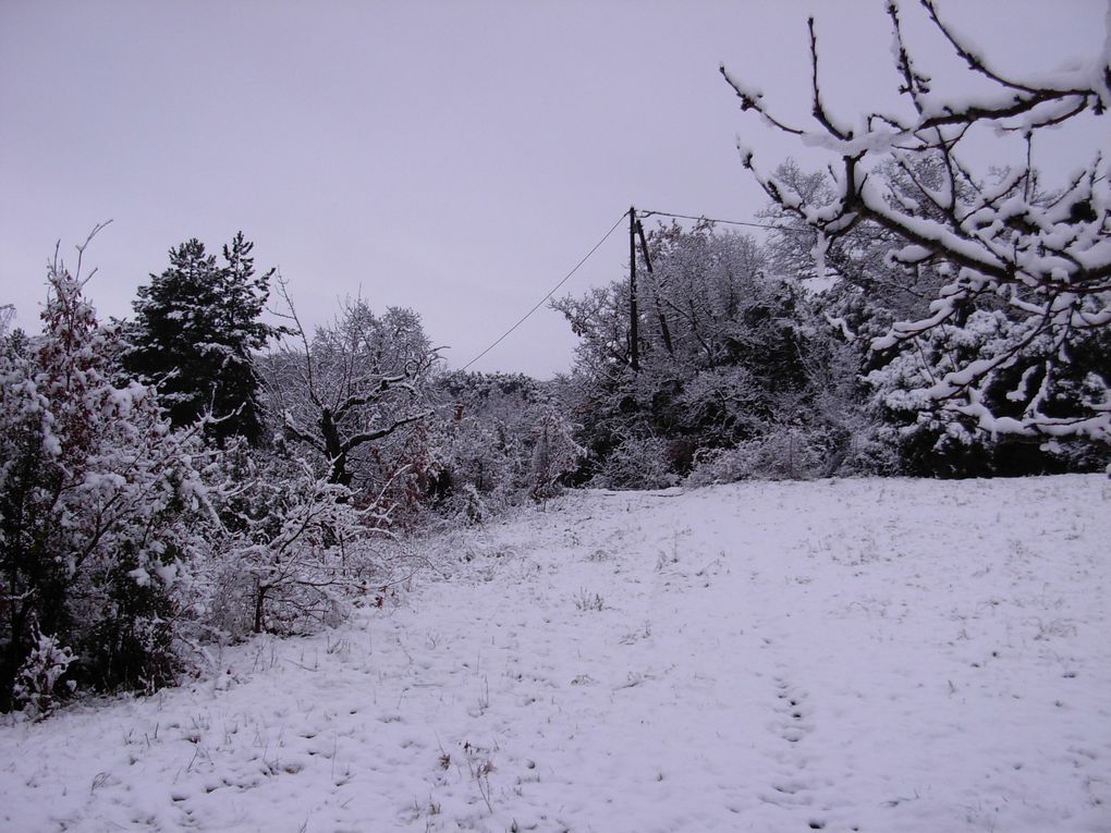 Poésie du matin