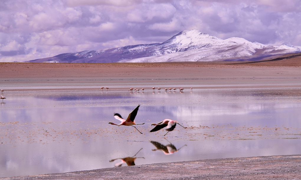 Un séjour de 20 jours au travers des paysages andins de Bolivie et du Pérou