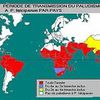 Le paludisme dans le monde