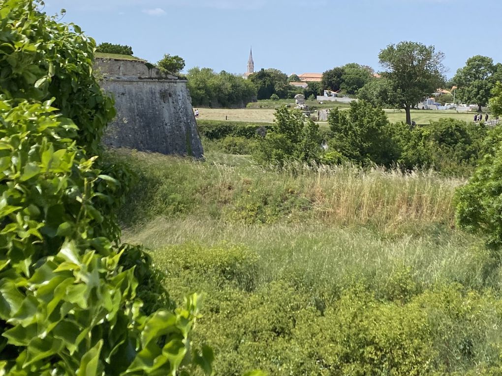 Visite de l'île d'Oléron en Charente