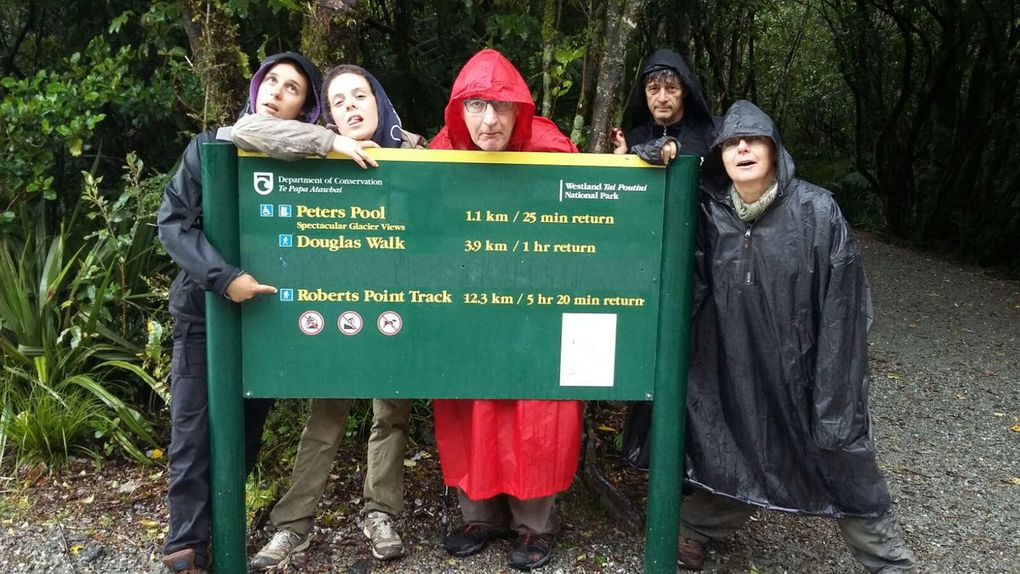 Robert track, Franz Josef Glacier