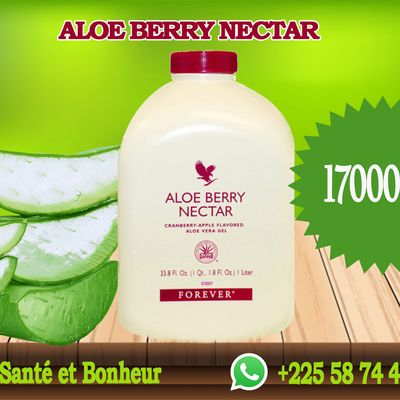 ALOE BERRY NECTAR
