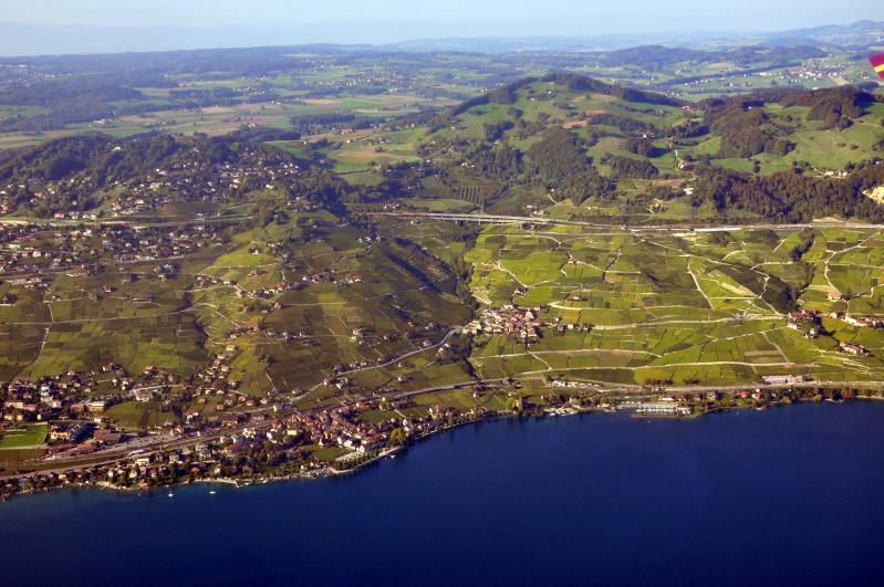 Tour de Gourze, Lavaux: vue du haut de Lussy, vue d'ensemble, chamois de la Cornalle