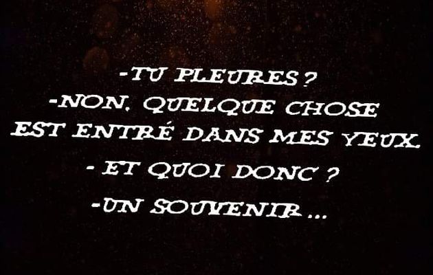 Une phrase toute mimi