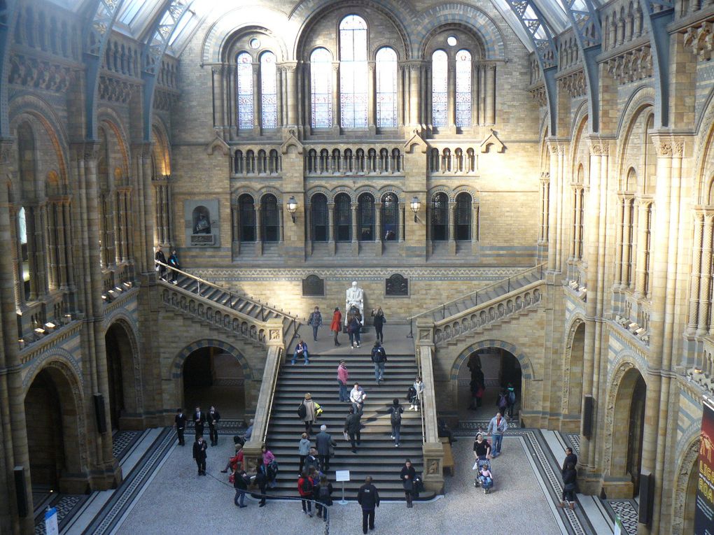 Album - Natural History Museum 2012