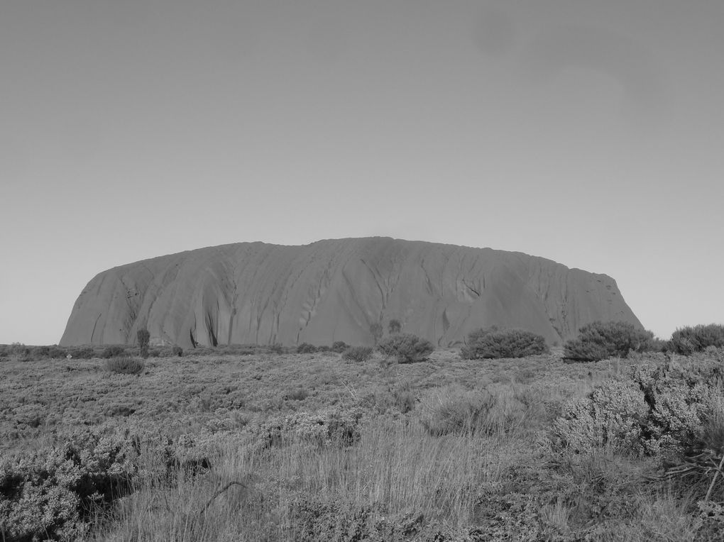 Album - 41 Uluru und die Olgas