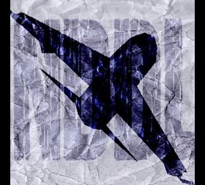 Lutte contre l'aéroport de Notre Dame des Landes