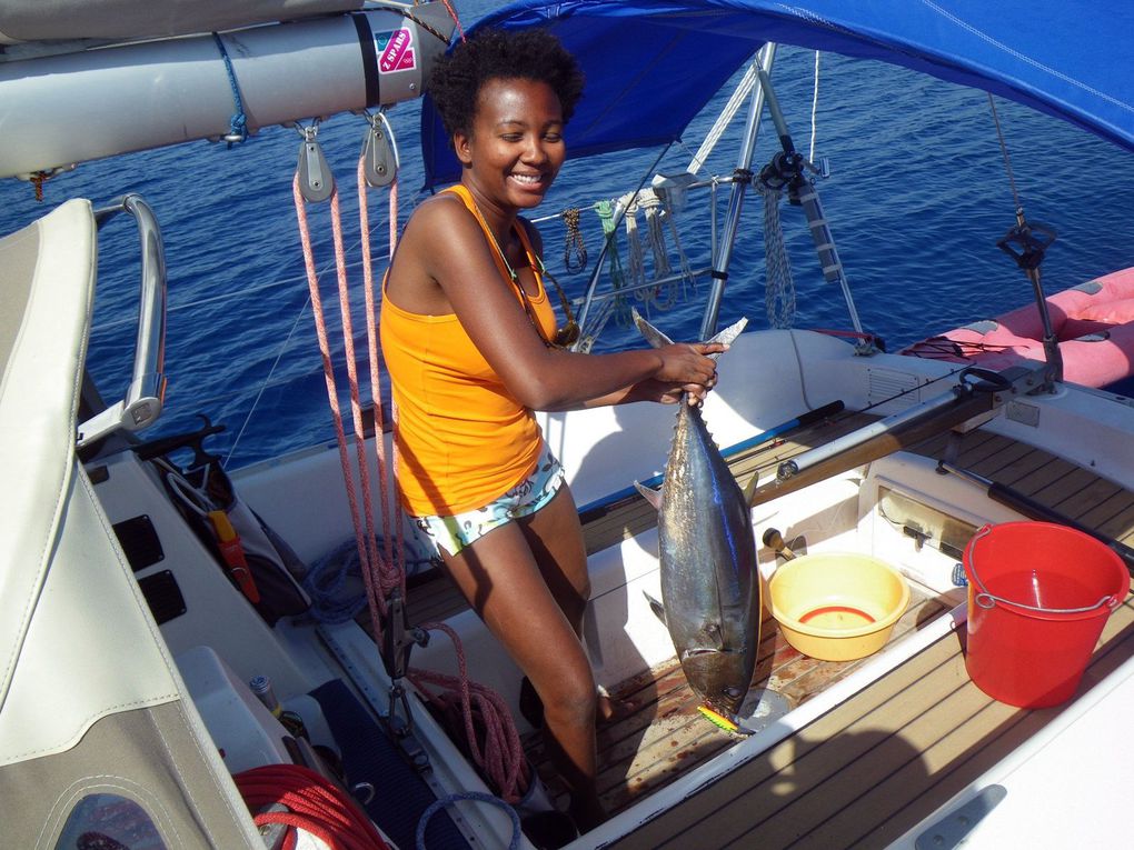 Ca sent l'été !!! Grand soleil, eau limpide, sable blanc... et reprise de la pêche ! Les mouillages du Sud Péloponnèse sortent le grand jeu, après le passage du redouté Cap Malea et ses rafales sournoises... on y laissera juste les rivets de hale-bas, contents de s'en tirer à si bon compte à côté des misères qu'il a faites subir à Ulysse  !