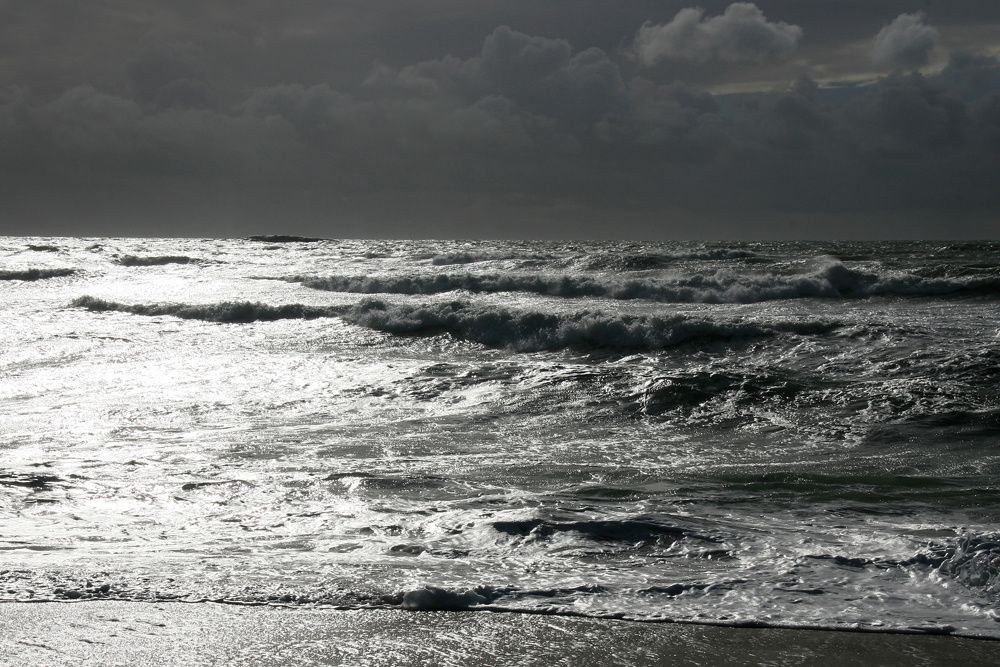 Hiver en Loire-Atlantique - Photos Thierry Weber Photographe La Baule Guérande