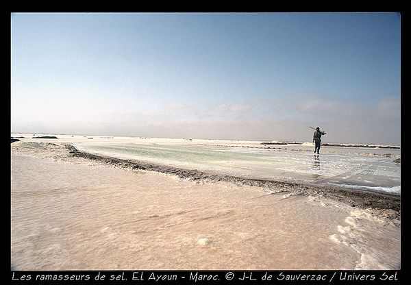 Les ramasseurs de sel dans le sud marocain.