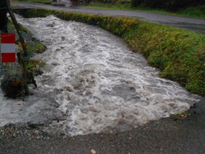 Niveau d'eau assez haut