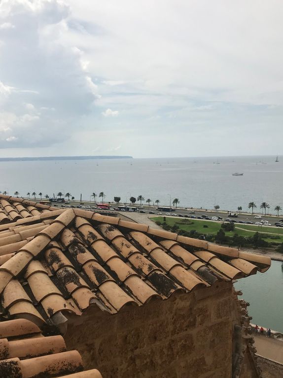 Les terrasses de la Seu, cathédrale de Palma 