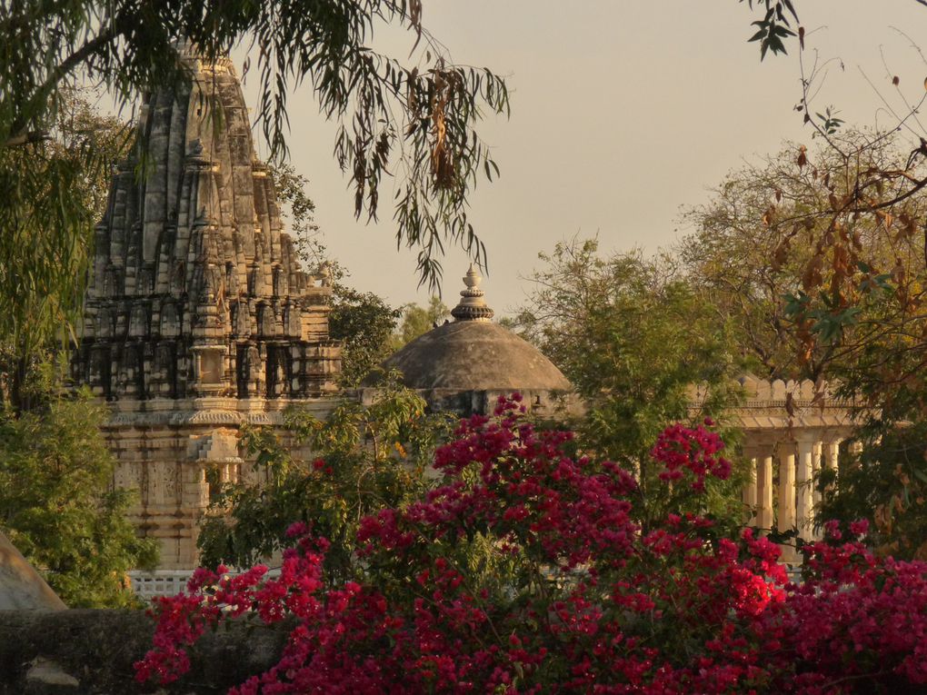 Album - RANAKPUR