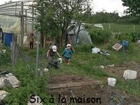 Nouveaux animaux et petit jardin - L'enfant et la nature