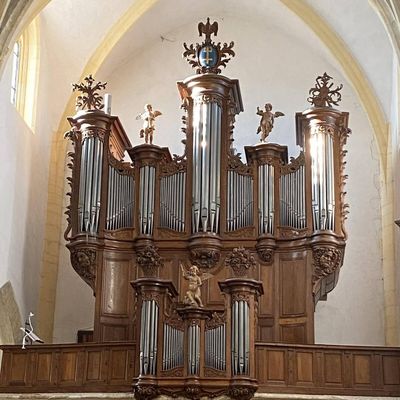 L'Orgue de Vézelise fête ses 250 ans : rencontre avec Dominique Dantand, son titulaire