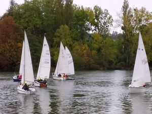 Les regates du dimanche