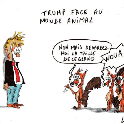 trump et c'est tellement vrai...