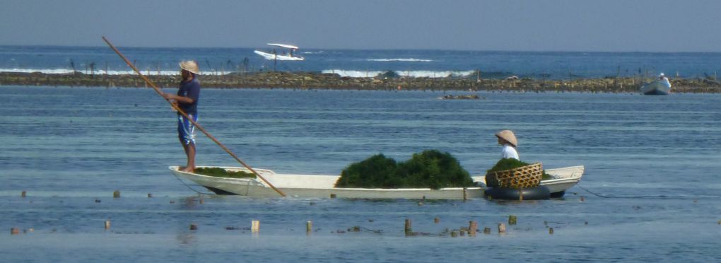 Album - 24- BALI, les-plages